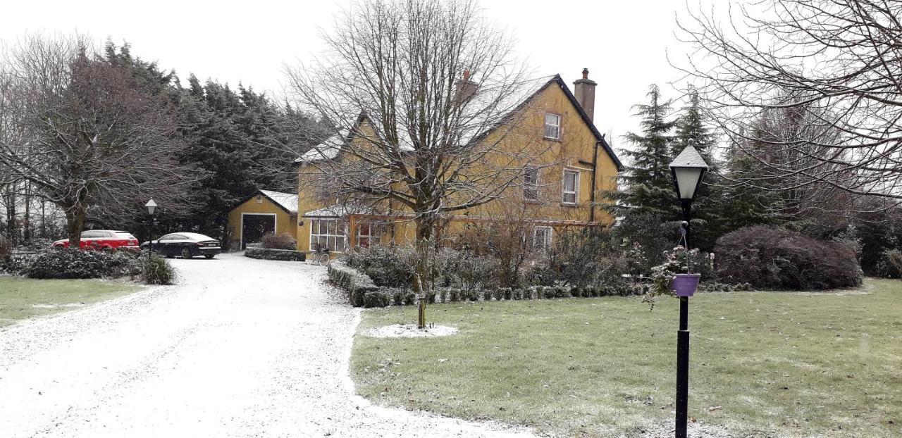 קילקני Newlands Lodge מראה חיצוני תמונה